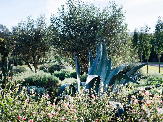 Jaspers Meadows, wedding venue in Jaspers Brush, NSW