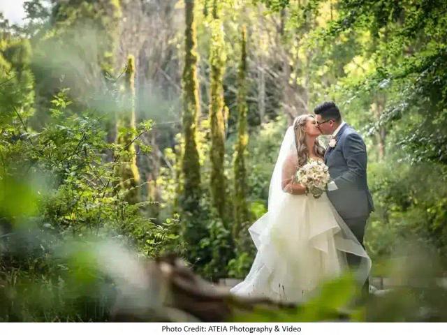 Marybrooke Manor, wedding venue in Sherbrooke, VIC