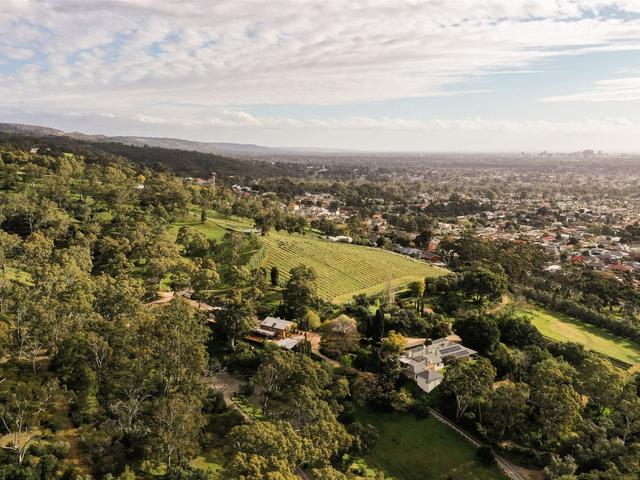 Marybank Estate – Weddings – Bed & Breakfast – Wine, wedding venue in Rostrevor, SA
